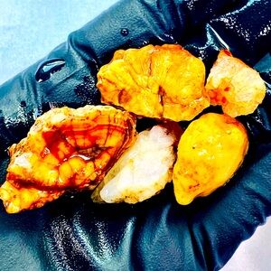 Kalama WA Red Carnelian Chalcedony Quartz Raw Rough Stone Crystal Natural 5 pcs